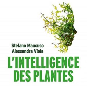 L'Intelligence des plantes
